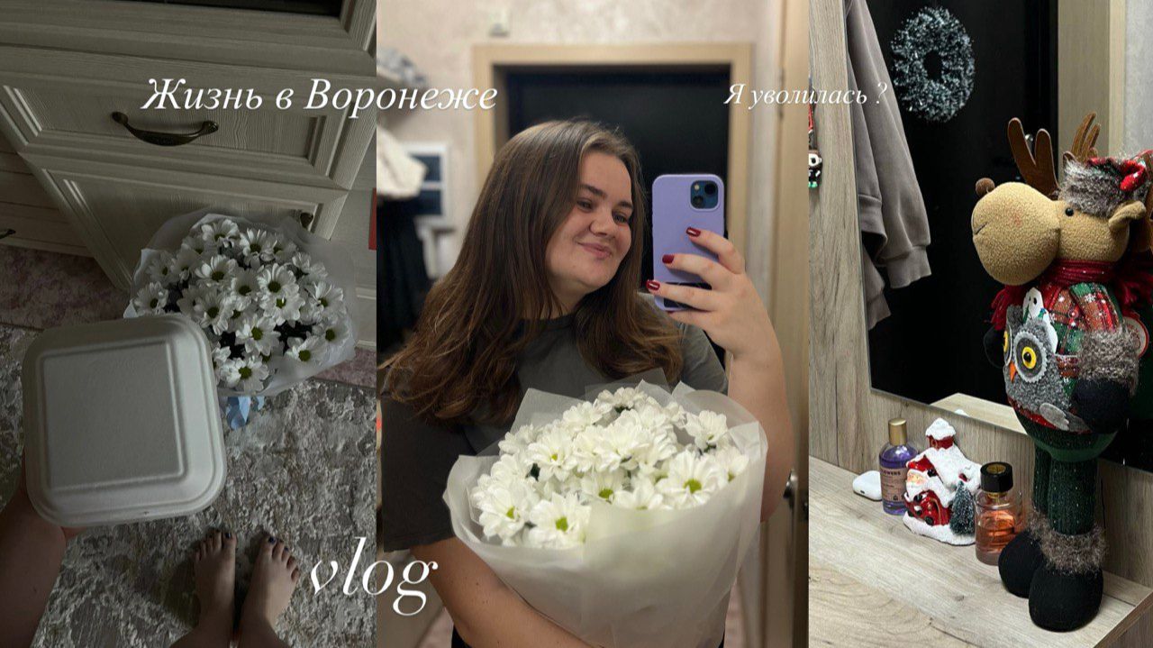 Жизнь в Воронеже / Я уволилась? влог смотреть онлайн