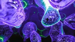 Древняя Земля. Путешествие к началу времен