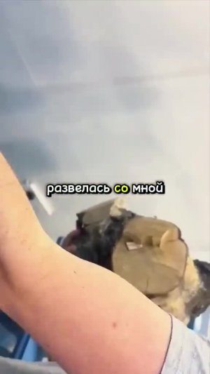 2/3 Часть || #истрия #реддит