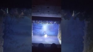VID2026 Сегодня я был на Балете Лебединое озеро