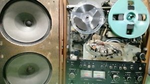 Чёрный лебедь.mp4