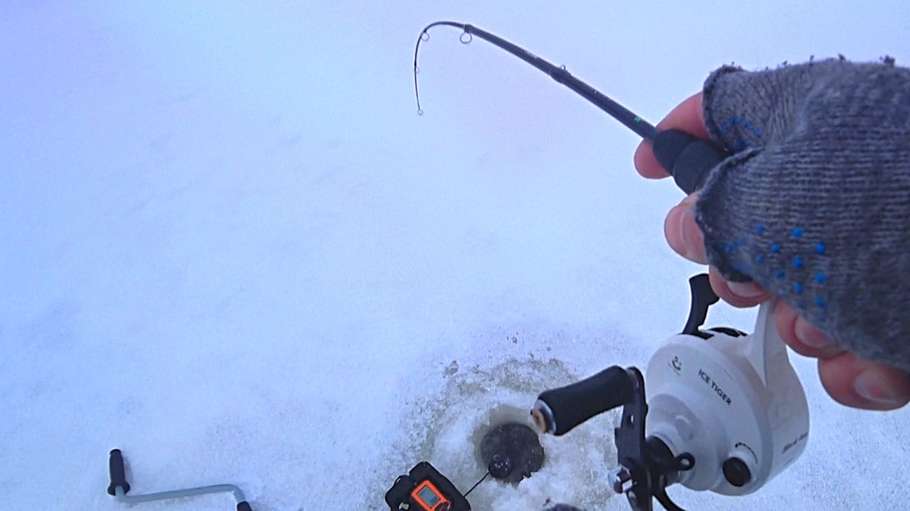 Первые СУДАКИ 2026 ! Зимняя рыбалка на Оке! смотреть онлайн