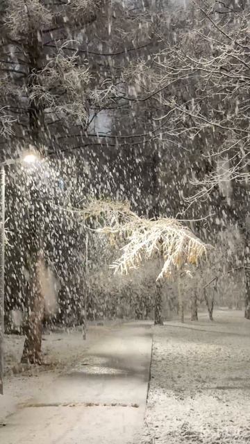 video-output-8414D57F-7D31-4372-BE56-50CC4BEE8EA8-1