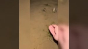 Видео от МЭН - Мне Это Нравится