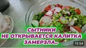 САМВЕЛ АДАМЯН, СЫТНИКИ, НЕ ОТКРЫВАЕТСЯ КАЛИТКА, ЗАМЕРЗЛА..