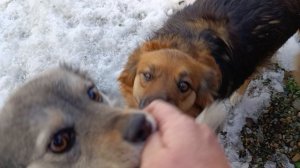 Мы приехали домой