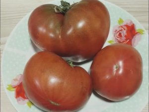 Каталог томатов на 2026 год. Новинки 2025 года. Часть 7. г. Киров.  т. 89229284031