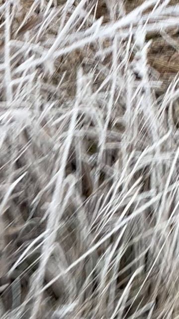 Рыбка дышит смотреть онлайн