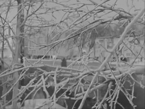 1968 год. Морозные шутки Тюмени.