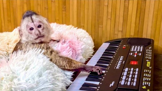 УДИВИТЕЛЬНО! Мы учим Финика ИГРАТЬ НА ПИАНИНО, малыш заинтересовался!)) смотреть онлайн