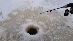 р.Свирь глубина окунь на балансир.