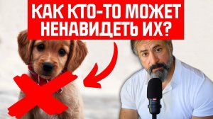 Странные истоки ненависти мусульман к собакам Пророк, любовник-гей и щенок