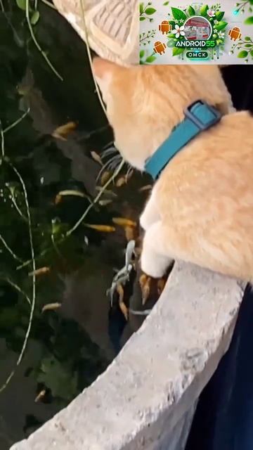 Рыботерапия🤣🤣🤣 смотреть онлайн