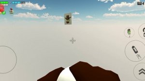 как найти тюленя