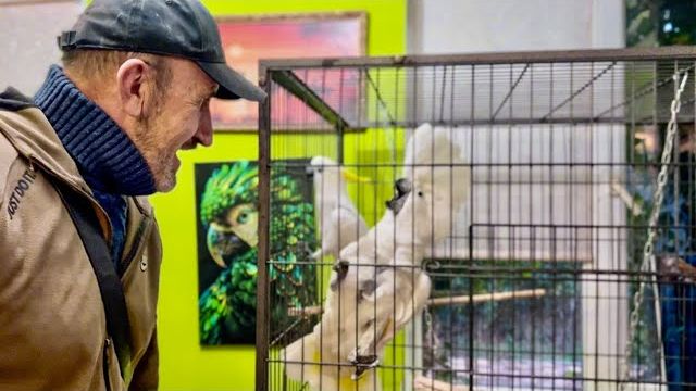 Папа с Кешей и Жориком УСТРОИЛИ ДЖАГА-ДЖАГУ, Финик с Анфиса в ТИХОМ УЖАСЕ!)) смотреть онлайн