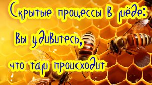 Мёд — живой? Да! И вот почему