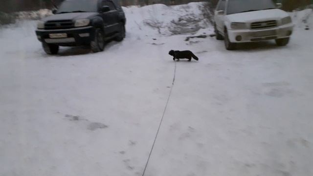 На улице, с утра.