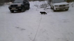 На улице, с утра.