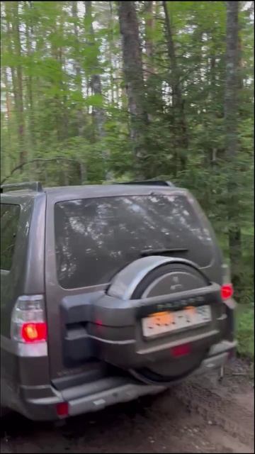 Брод диванного жжжжжжыпера смотреть онлайн