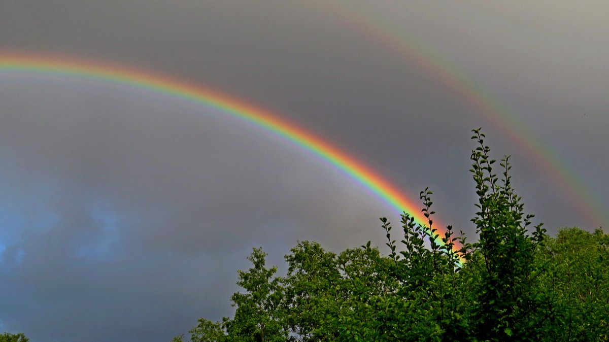 Любуемся радугой... смотреть онлайн