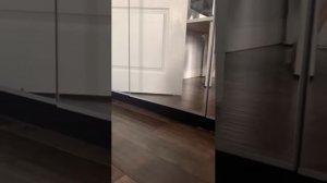 #188 Самые смешные животные. Приколы с котами и собаками