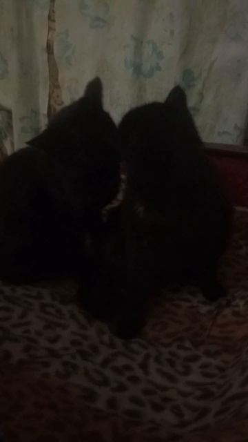 Моя маленькая радость смотреть онлайн