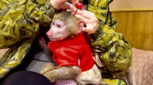 Анфиса и Финик ПРИНАРЯДИЛИСЬ и готовы к ПЕРЕЕЗДУ!