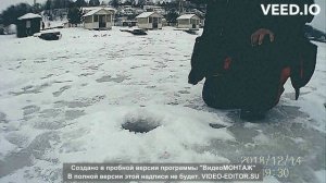 сиговая поклёвка