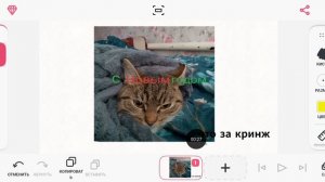 ало что за кринж