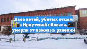 Двое детей, убитых отцом в Иркутской области, умерли от ножевых ранений