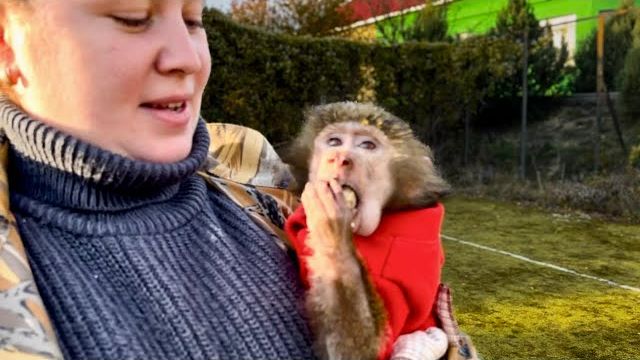 ПРОСТО СМЕХ! Анфиса полюбила яйца и теперь она их ЕСТ ЦЕЛИКОМ И СО СКОРЛУПОЙ!)) смотреть онлайн