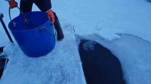 Зарыбление!