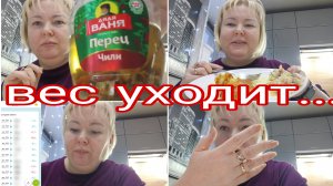 04-01-2026 Приехала гостья к Марине, а Барсик даже не возмущён 😂