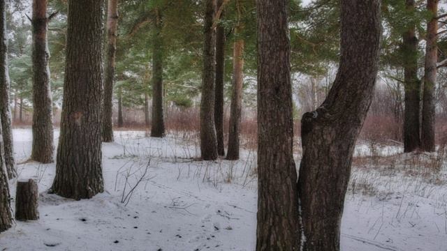 "УПОМИНАНИЕ ТВОЕГО ИМЕНИ"... (Фото Сергея ОГАРКОВА (Коряжма) - Поёт Крис РИ (Британия) смотреть онлайн