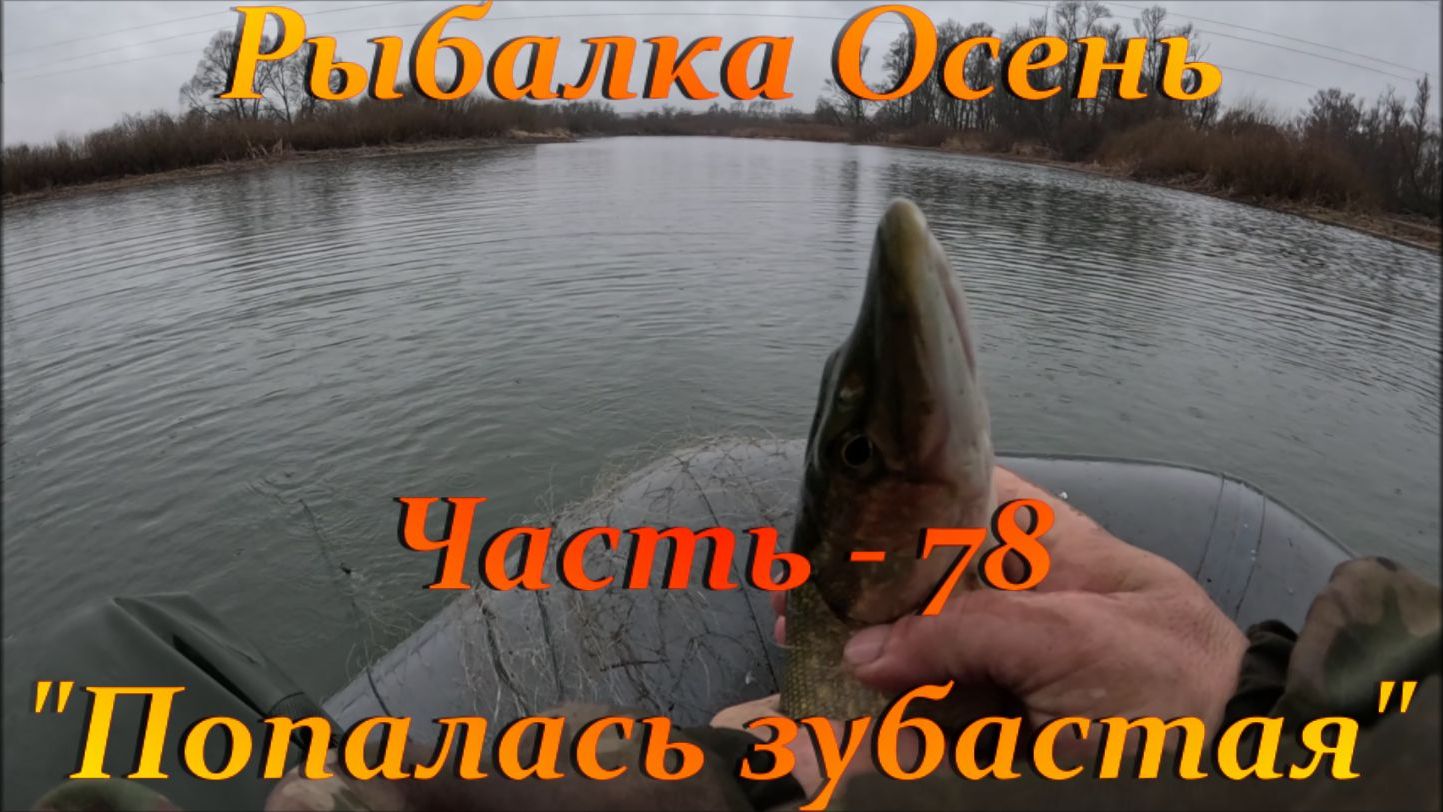 Рыбалка Осень. Часть - 78. "Попалась зубастая". смотреть онлайн