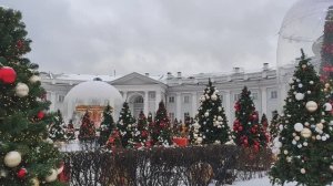 Новогодняя сказка в саду НИИ скорой помощи имени Н.В. Склифосовского. Ёлочки. Карусель. Январь 2026