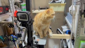 copy_A0BB3A41-C064-4156-90B8-2462A06A7CB0