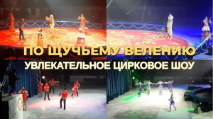 Цирковое шоу "По щучьему велению". Выступления артистов в Иркутске