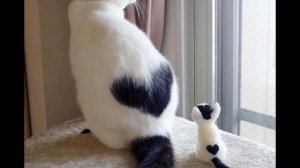 мяу подпишитесь на ТГ