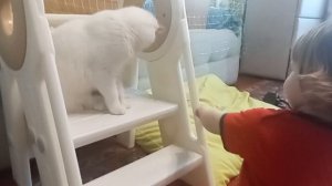 04-01-2026 Дружба завязалась крепкая у дочи с приемной кошечкой.