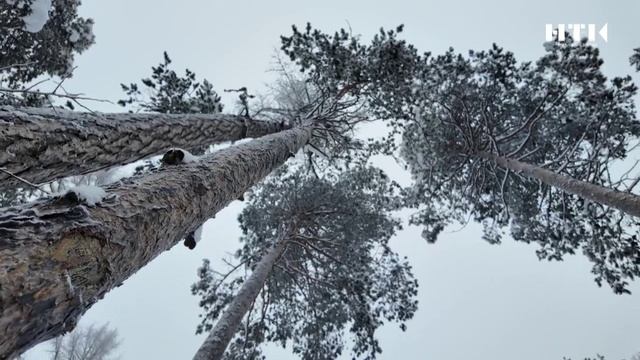 Новогодние каникулы смотреть онлайн