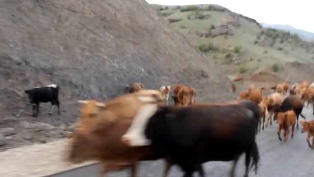 Дорогами Северного Кавказа смотреть онлайн