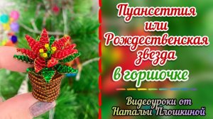Пуансеттия или Рождественская звезда в горшочке из бисера / Цветы из бисера / Бисероплетение /