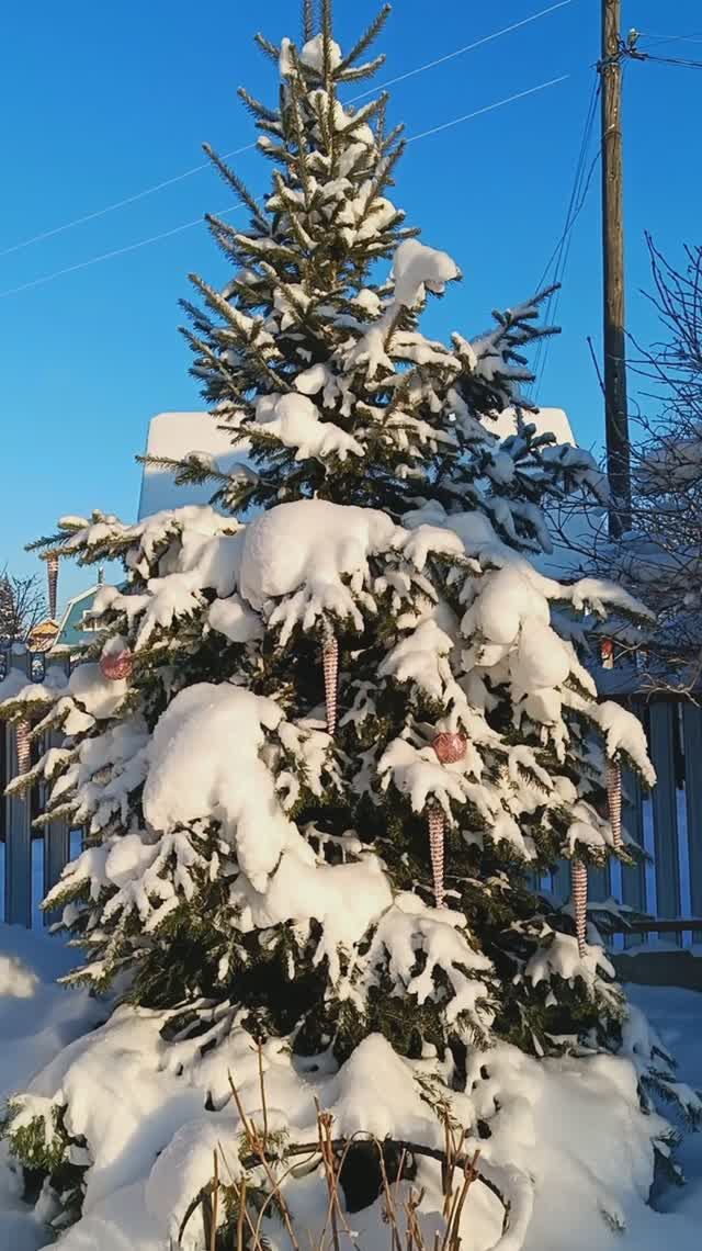 А вы украшаете ёлочку на даче? смотреть онлайн