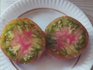 Томаты Польской селекции.  Новинки 2025 года. Часть 2.  т. 89229284031