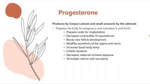 Овуляторный цикл при проведении УЗИ (рама) лекция для врачей