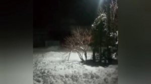 Травля, окончание