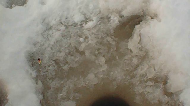 Если б не кристаллостались бы без рыбки