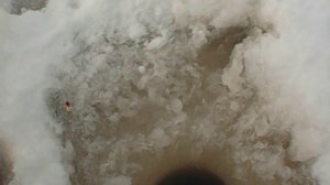 Если б не кристалл,остались бы без рыбки