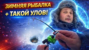 ОХОТА ЗА ХИЩНИКОМ НА РЕКЕ ❄️ Зимняя щука